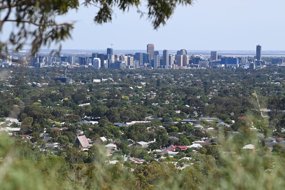 SA Gov Craft CMS Build